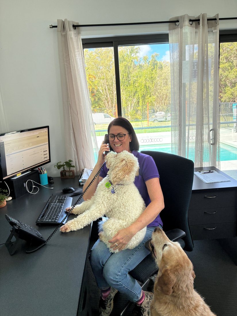 A PTSD Dogs Australia team member on the phone at her desk with two dogs