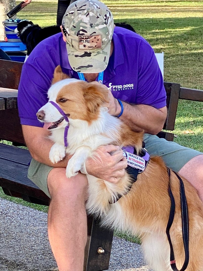 A PTSD Dogs Australia assistance dog with a team member