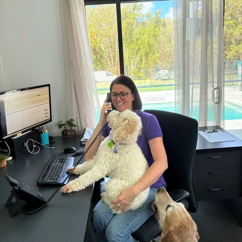 A PTSD Dogs Australia team member on the phone at her desk with two dogs
